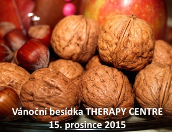 Therapy_Centre_vanocni_besidka
